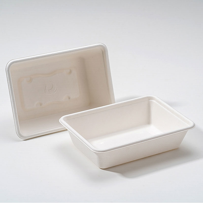 Square Box Bagasse