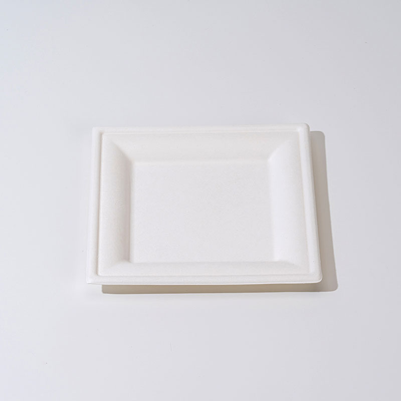Sugarcane Pulp Square Tray