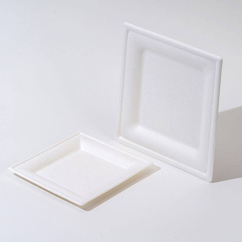 Sugarcane Pulp Square Tray