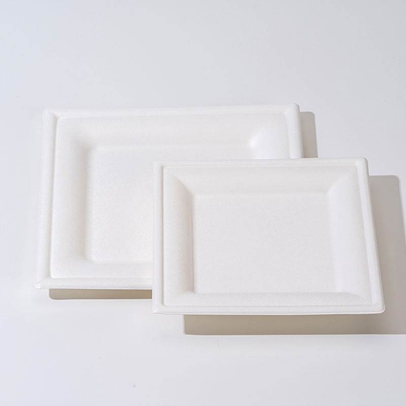 Sugarcane Pulp Square Tray
