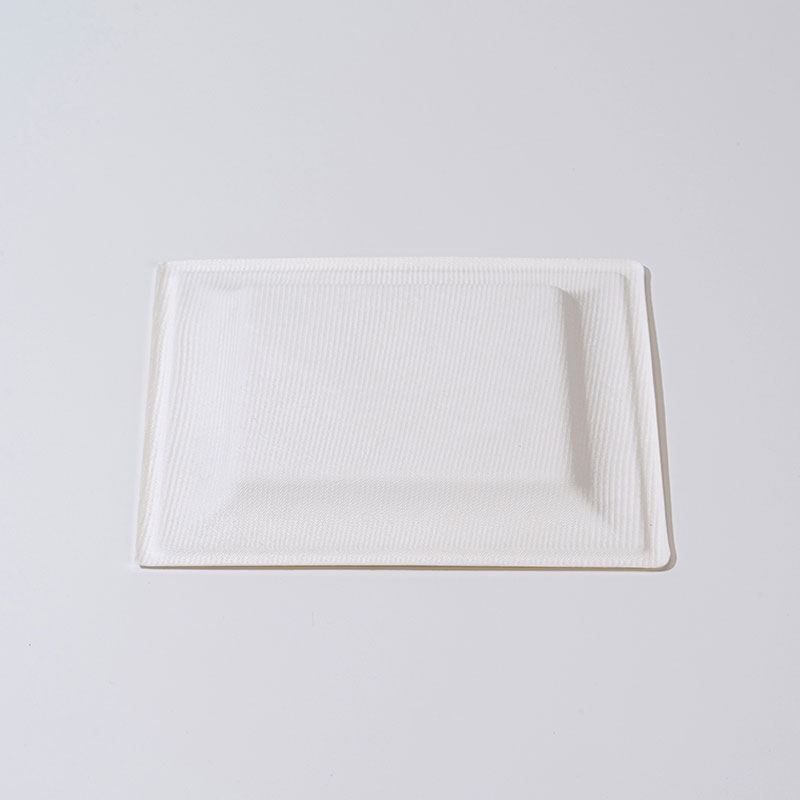 Sugarcane Pulp Square Tray