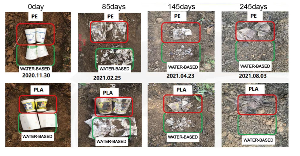 Aqueous Lined Paper Cup